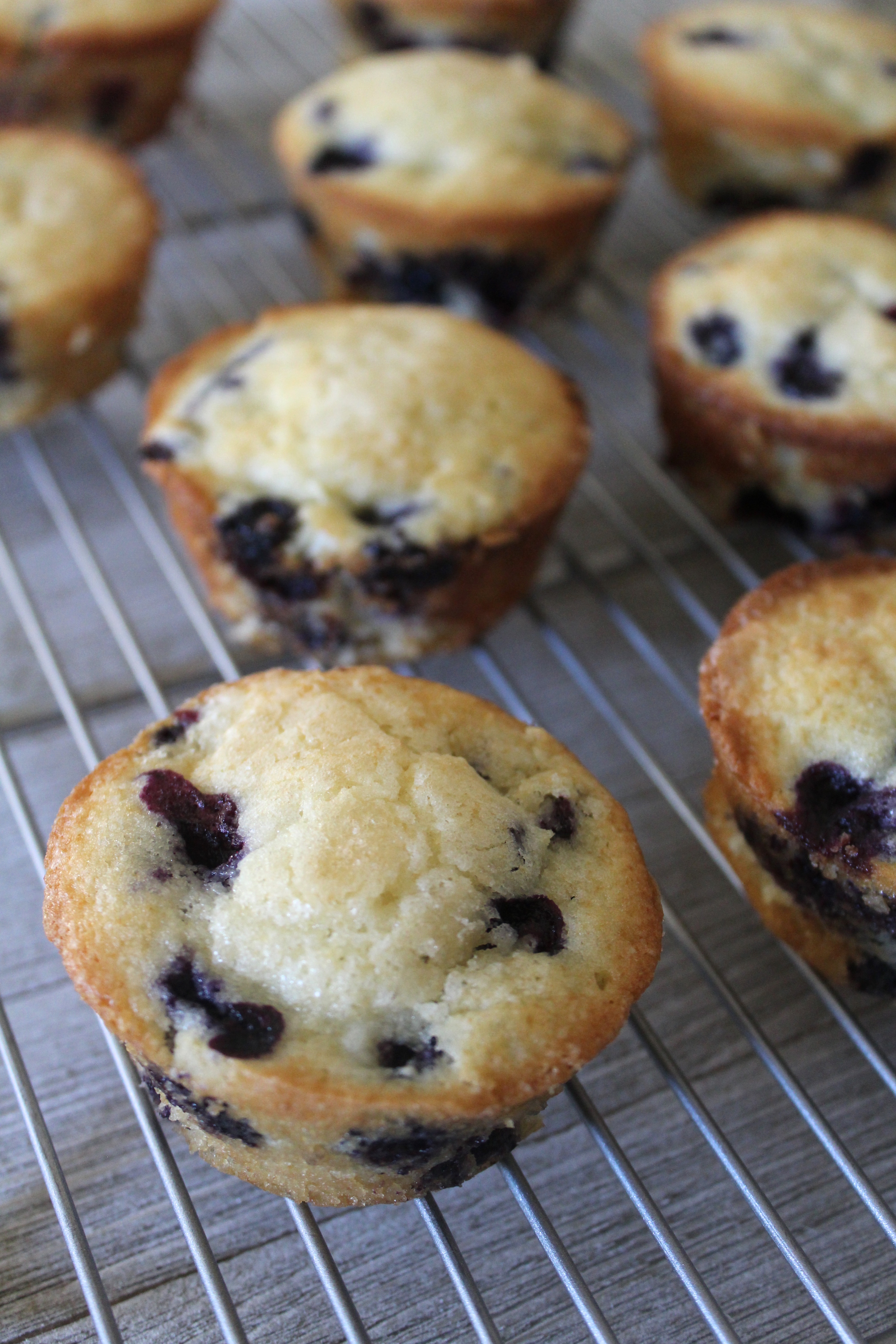 How To Store Homemade Blueberry Muffins